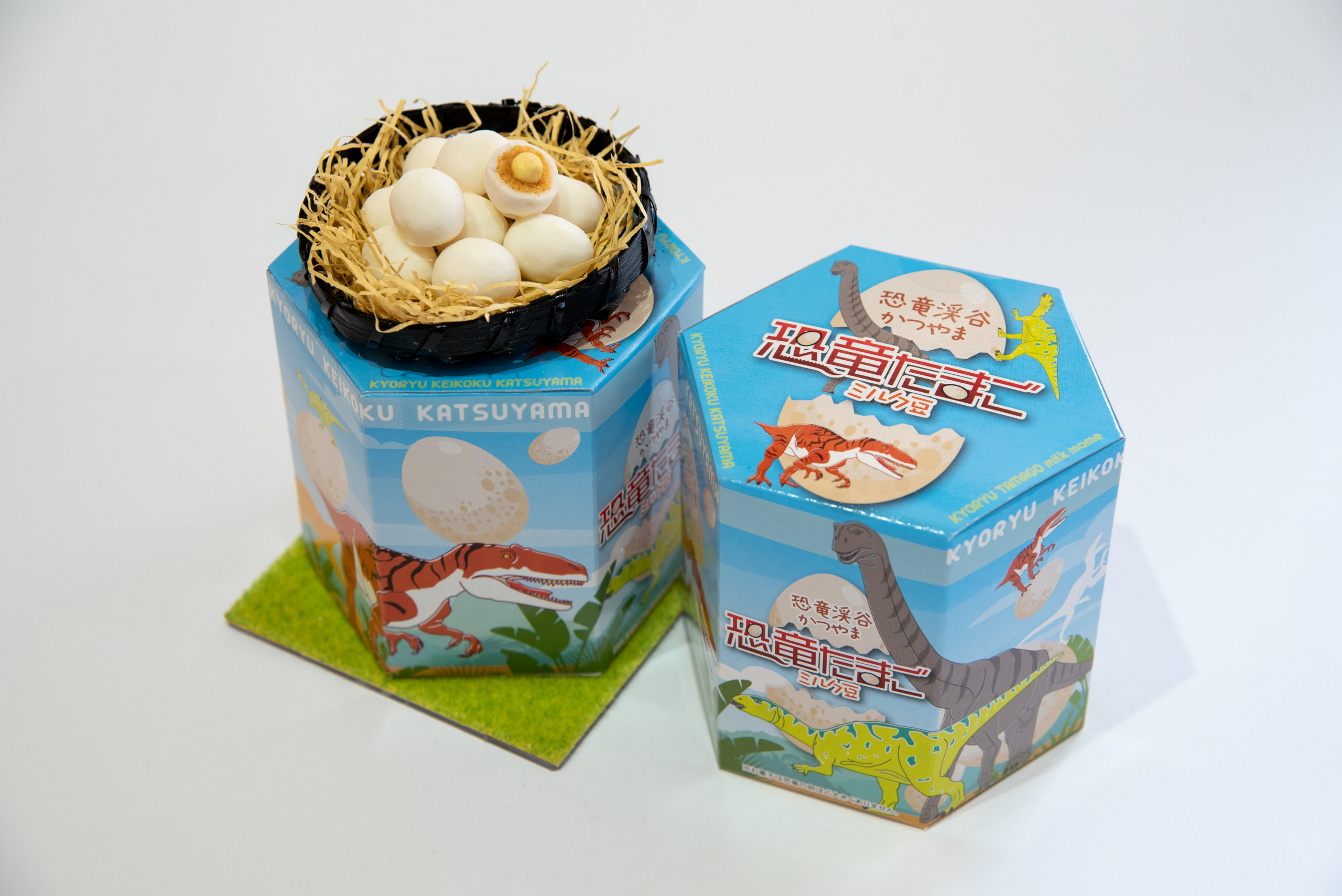 恐竜の卵S | 水中生物用品・水槽用品 通販 | ホームセンターの