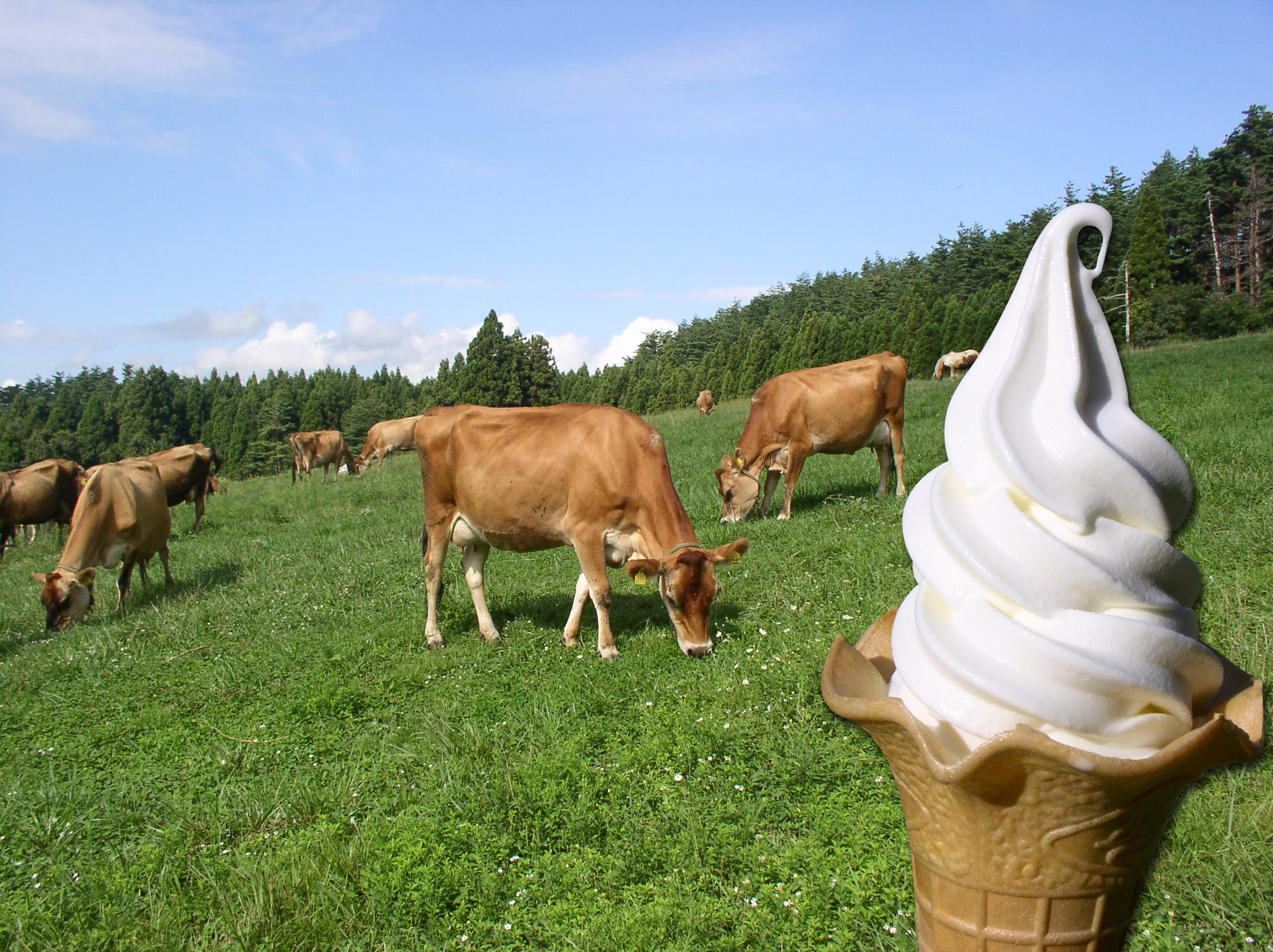 1d4fa6ebbc2032b61a4e8b561a7e86