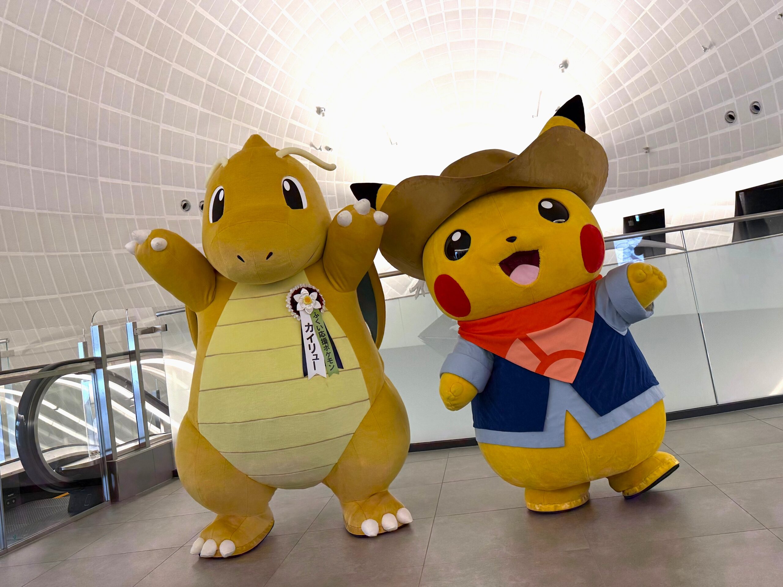 福井県立恐竜博物館にて「ポケモン化石博物館」が開催中です - 勝山