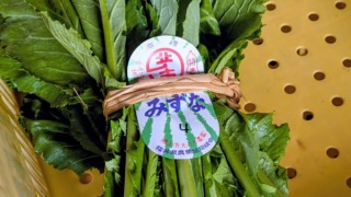 Thumbnail of new posts 103