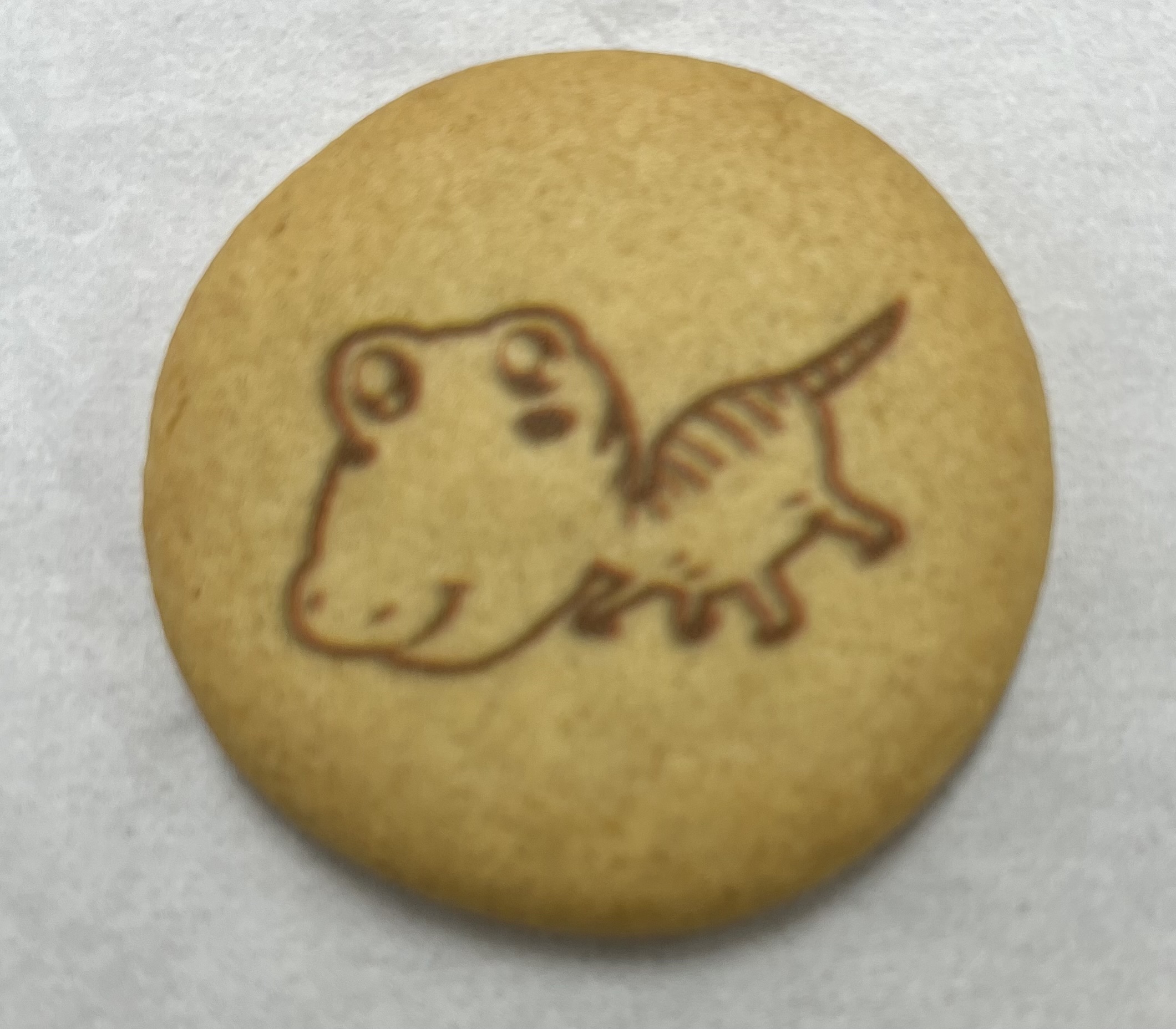 分けやすい！定番みやげ🍪 | 【公式】道の駅 恐竜渓谷かつやま-福井県