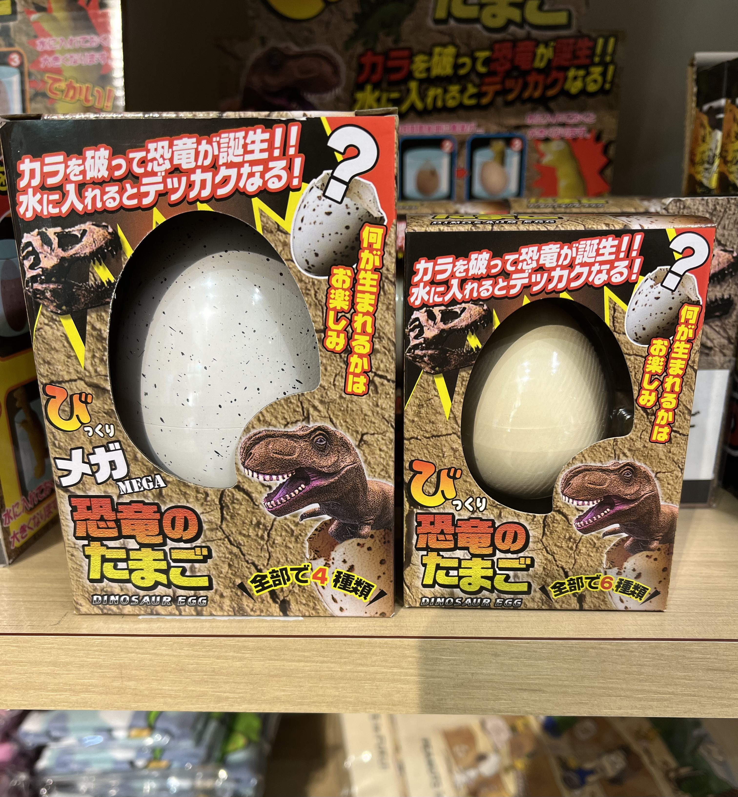 カラを破って誕生？！わくわく恐竜のたまご🥚 | 【公式】道の駅 恐竜