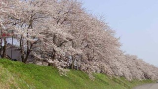 Thumbnail of new posts 185