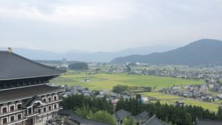 Thumbnail of new posts 122