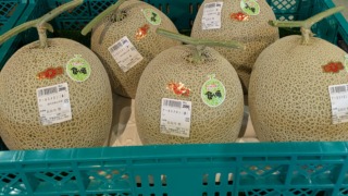 Thumbnail of new posts 014