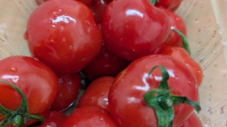 Thumbnail of new posts 085