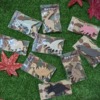 Thumbnail of related posts 157