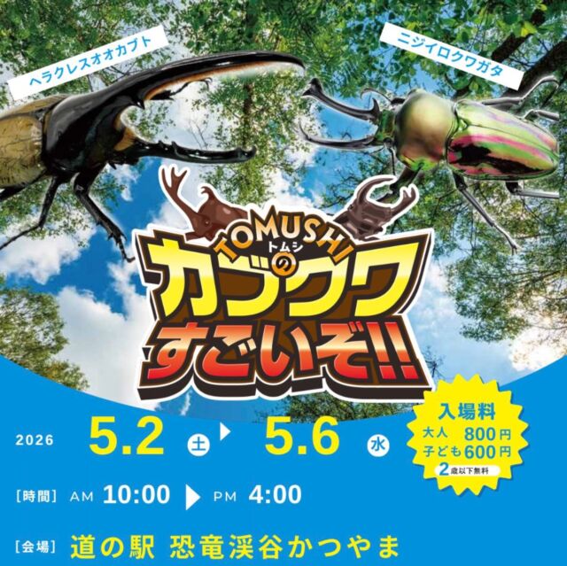 公式】道の駅 恐竜渓谷かつやま-福井県勝山市
